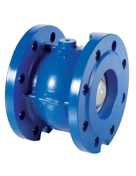 Piston Check Valve - 05 | Brandoni | Philippopoulos s.a.