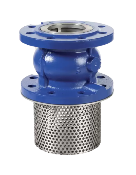 Piston Check Valve - 05 | Brandoni