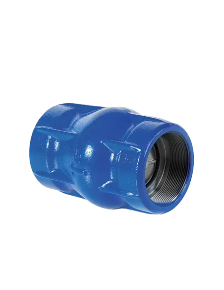 Piston Check Valve - 05 | Brandoni