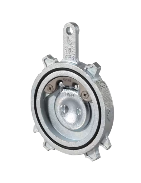 Swing Check Valve - 06-M6 | Brandoni