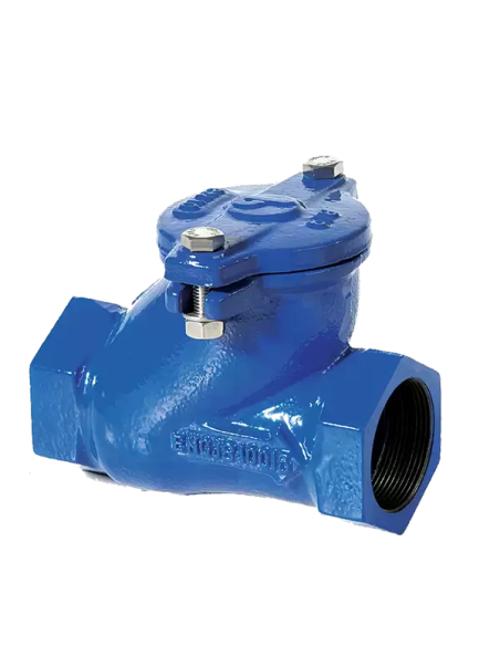 Ball Check Valve - 07 | Brandoni
