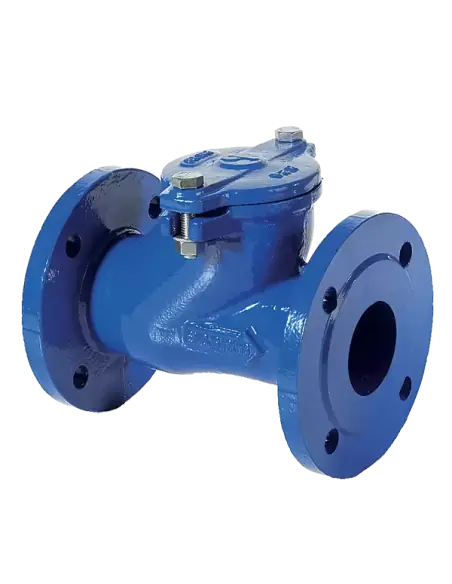 Ball Check Valve - 07 | Brandoni | Philippopoulos s.a.