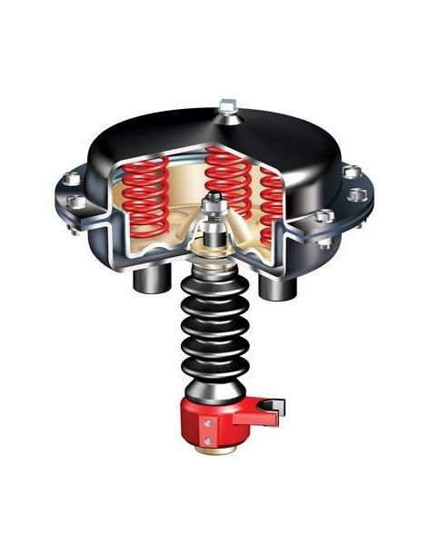 Pneumatic actuator - DP | ARI