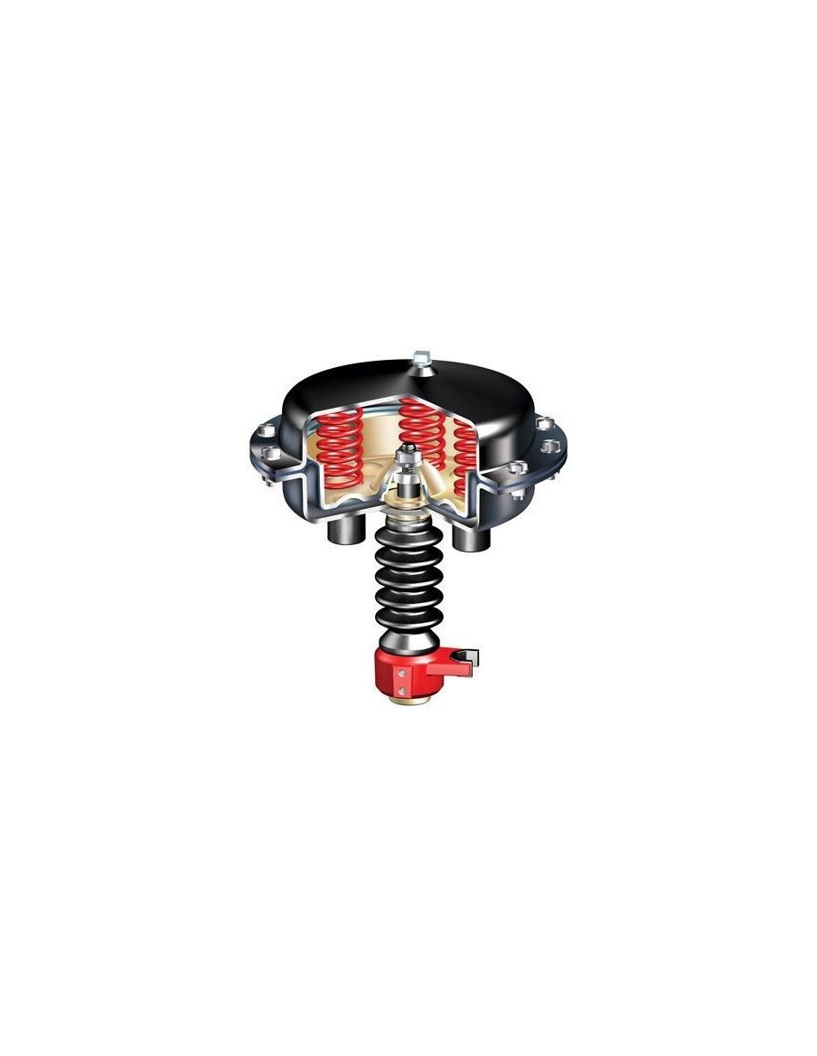 Pneumatic actuator - DP | ARI