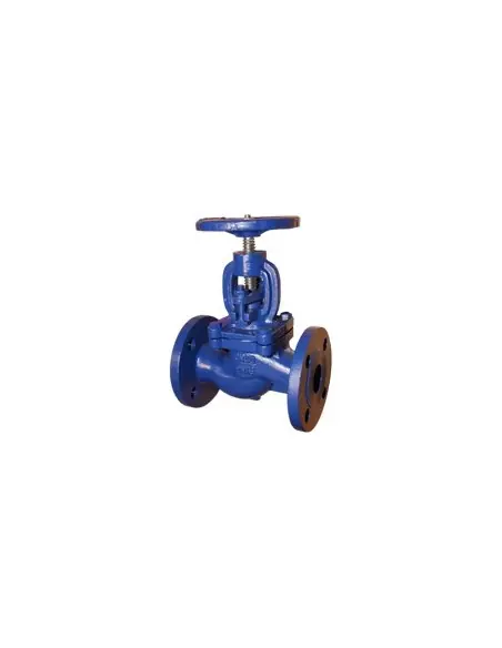 Globe valve V30.1 | Corex | Philippopoulos s.a.