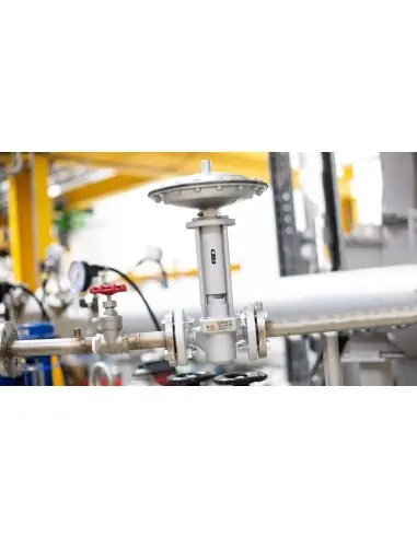 Bottom Blowdown Valve | Gestra | Philippopoulos s.a.