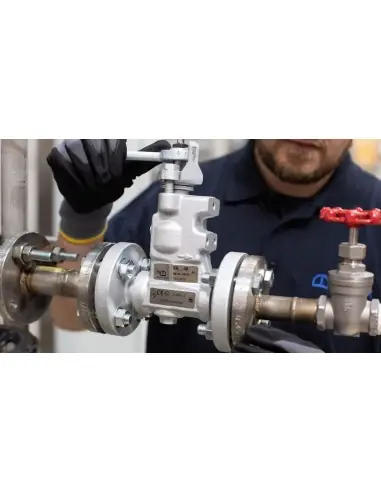 Continuous Blowdown Valve | Gestra | Philippopoulos s.a.