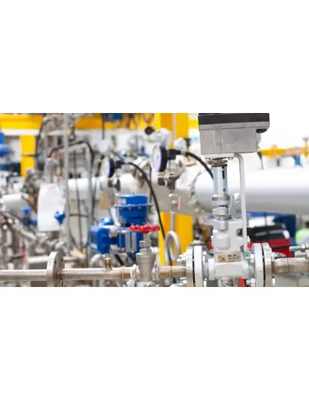 Continuous Blowdown Valve | Gestra | Philippopoulos s.a.