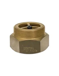 Gravity Circulation Non-Return Check Valves | Gestra | Philippopoulos s.a.