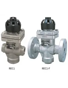 Pressure reducing valve - Direct Acting for steam - REC1 | Miyawaki | Philippopoulos s.a.