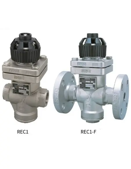 Pressure reducing valve - Direct Acting for steam - REC1 | Miyawaki | Philippopoulos s.a.