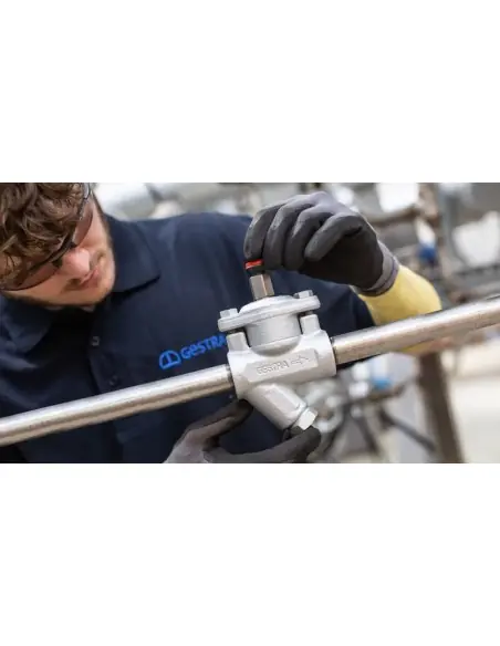 Automatic Drainage Valve type AK | Gestra | Philippopoulos s.a.