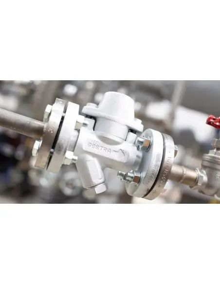 Bimetallic steam trap - BK | Gestra | Philippopoulos s.a.