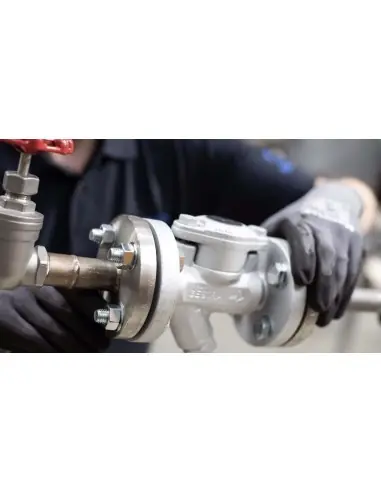 Thermostatic membrane steam trap - MK | Gestra | Philippopoulos s.a.