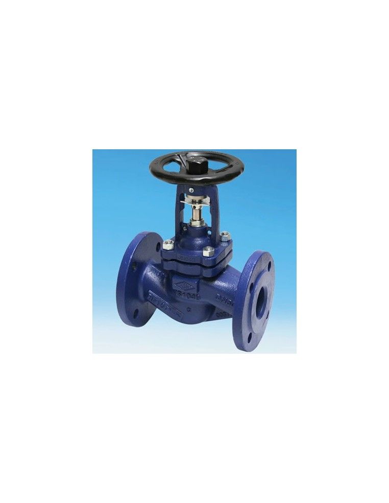 Globe valve - FABA Plus ANSI | ARI