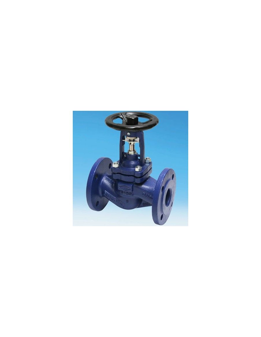 Globe valve - FABA Plus ANSI | ARI