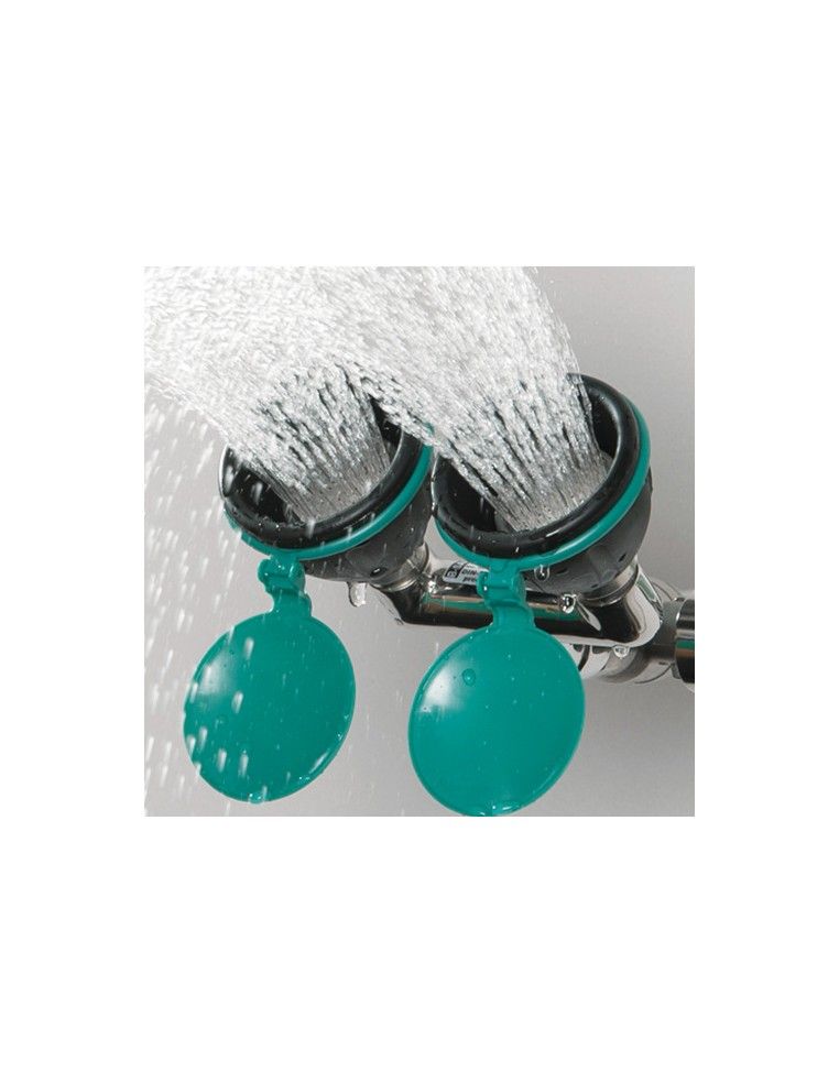 Safety eye shower with two spray heads 45° - ClassicLine - BR 210 085 | B-Safety