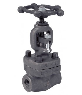 COMEVAL - Globe valves 800lbs