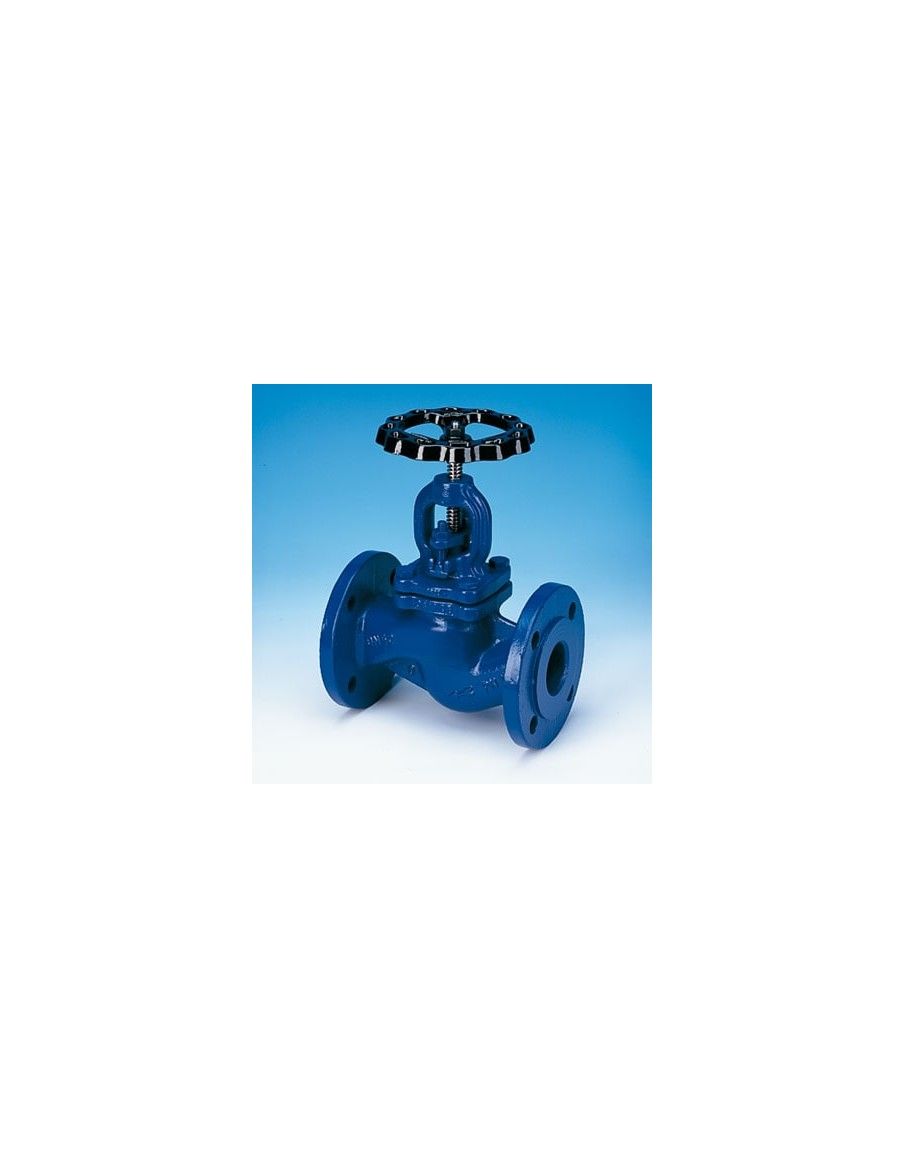 Globe valve - STOBU | ARI