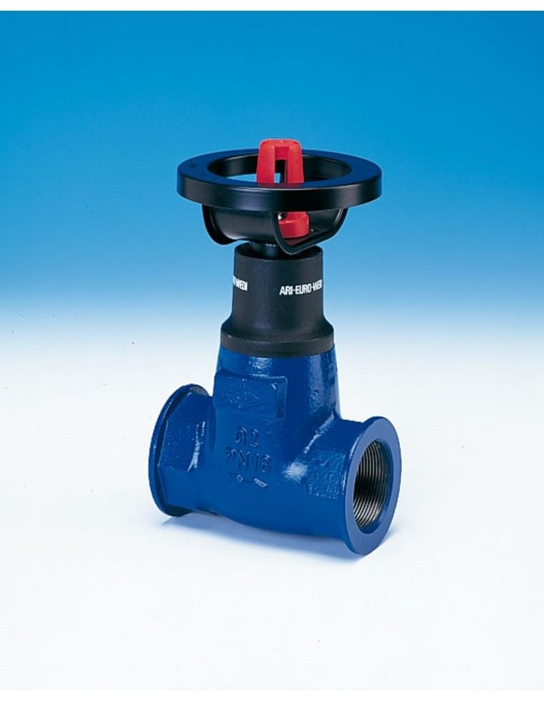 Gate valve soft seal - EURO WEDI | ARI