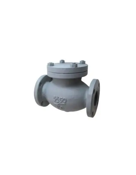 Swing check valve Cast iron 5K - F7358 | Philippopoulos s.a.