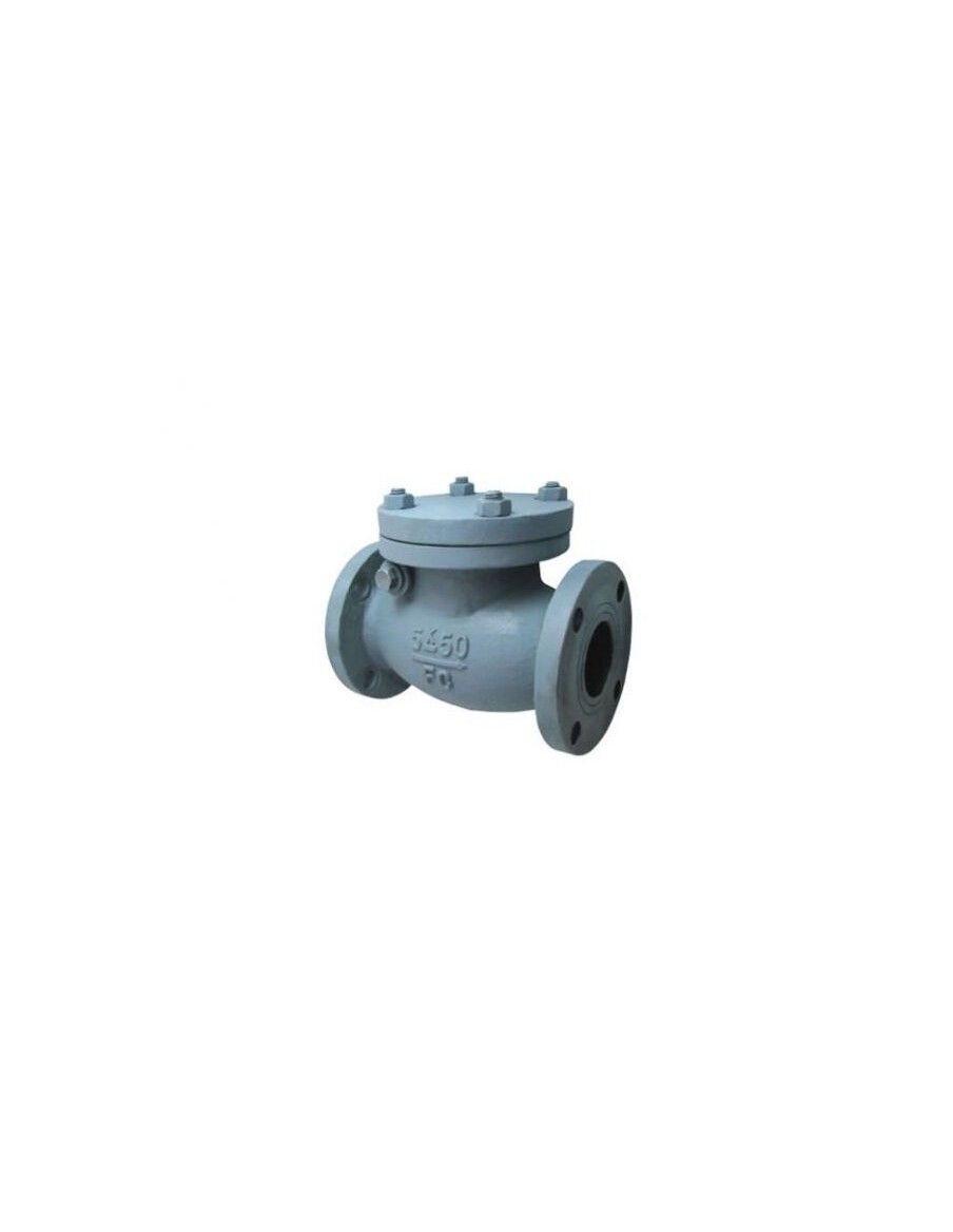 Swing check valve Cast iron 5K - F7372