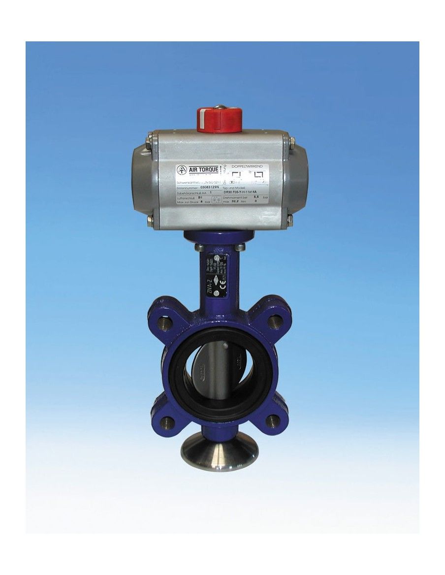 Butterfly valve - ZIVA G | ARI