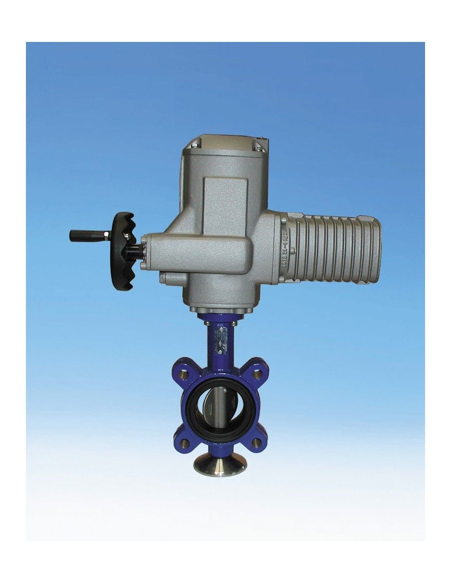 Butterfly valve - ZIVA G | ARI