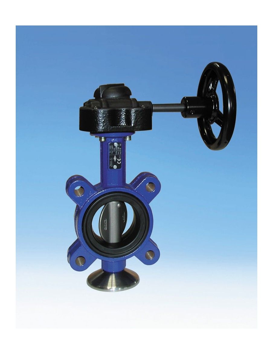 Butterfly valve - ZIVA G | ARI