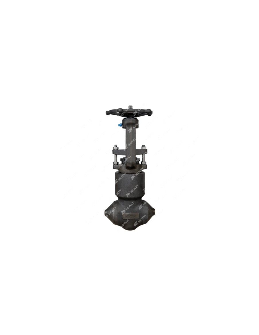 Βαλβίδα απομόνωσης (Ατμοφράκτης) - Forged Steel - Pressure Seal Valve | Neway