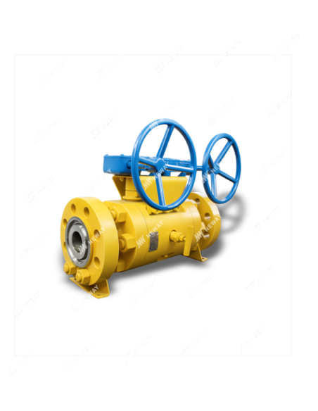 Ball Valve Double Ball - Floating DBB Compact Manifold | Neway