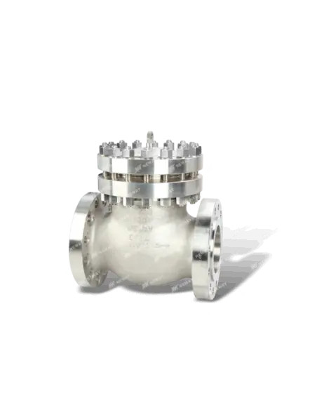Swing Check Valve - Cryogenic | Neway | Philippopoulos s.a.