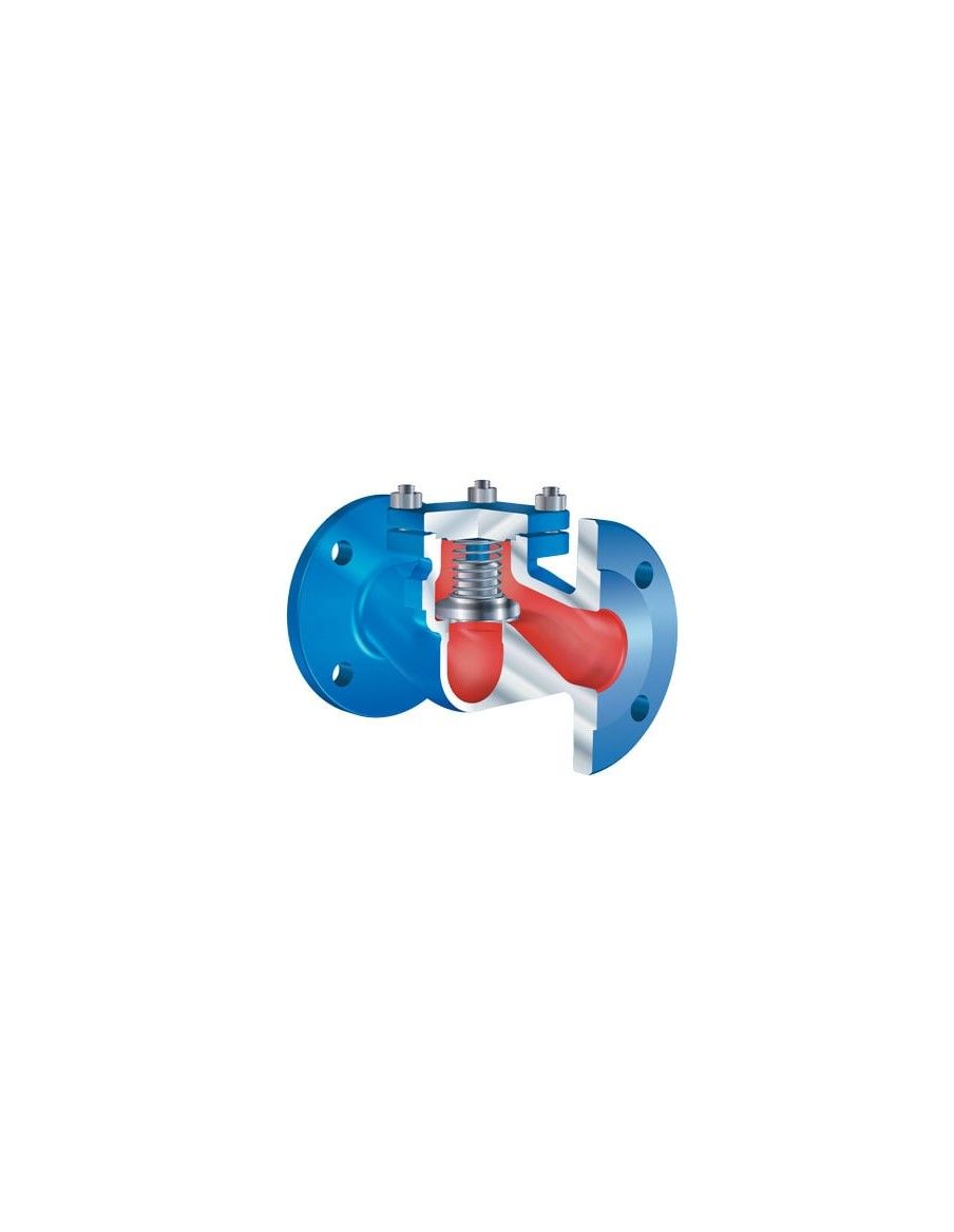 Piston Check Valve - CHECKO V | ARI