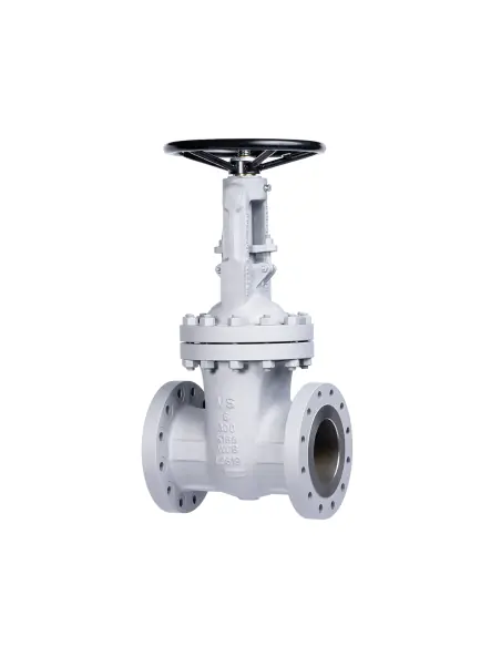 Gate Valve - Bolted Bonnet - ASME | Valvosider | Philippopoulos s.a.
