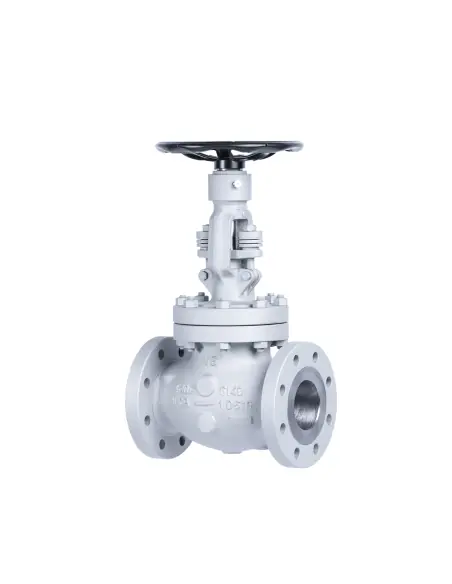 Globe Valve Bolted Bonnet - ASME | Valvosider | Philippopoulos s.a.
