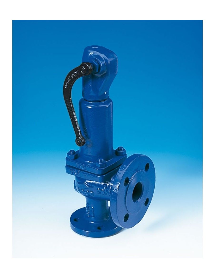 Safety valve - SAFE | ARI