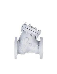 Piston Check Valve 'Y' Type - ASME | Valvosider | Philippopoulos s.a.