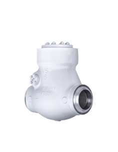 Swing Check Valve Pressure Seal - ASME | Valvosider