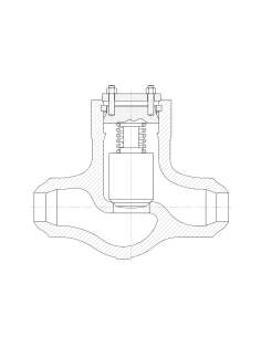 Βαλβίδα αντεπιστροφής εμβόλου - Pressure Seal - ASME | Valvosider