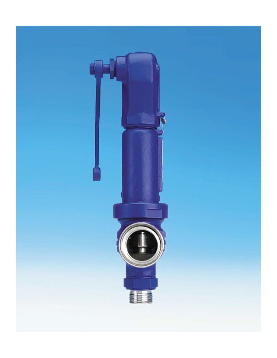 Safety valves - SAFE TC | ARI