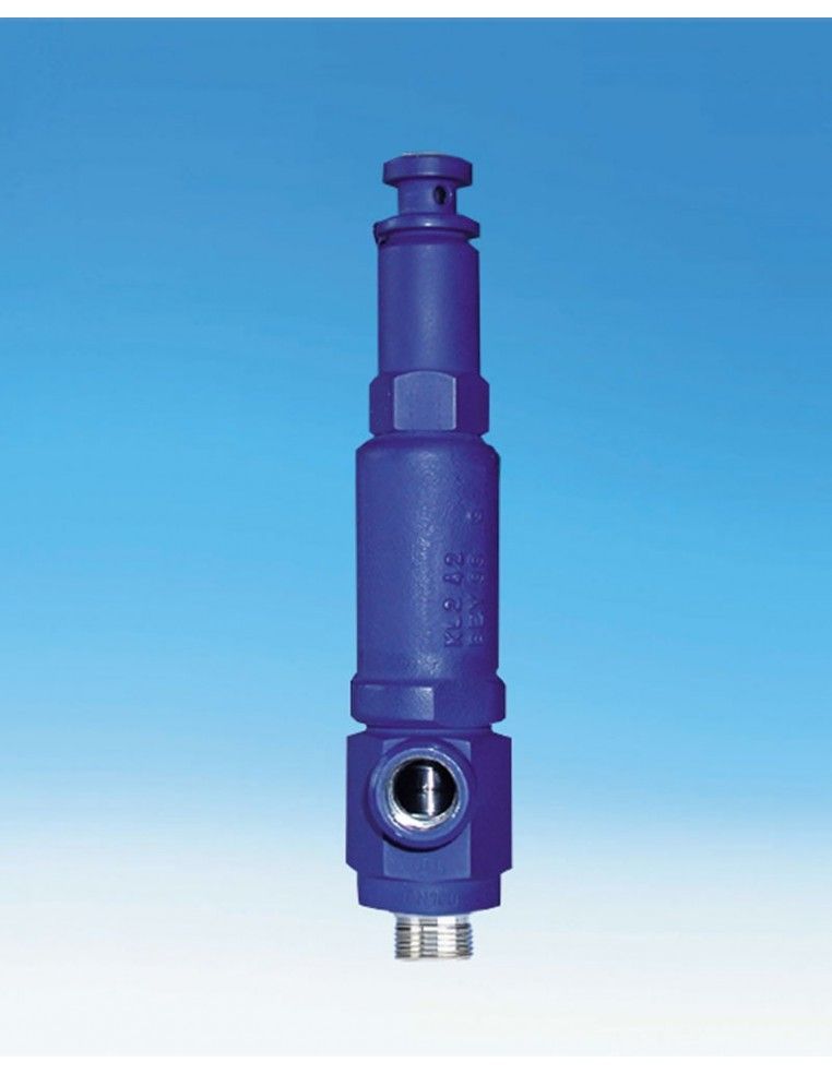 Safety valves - SAFE TCP | ARI