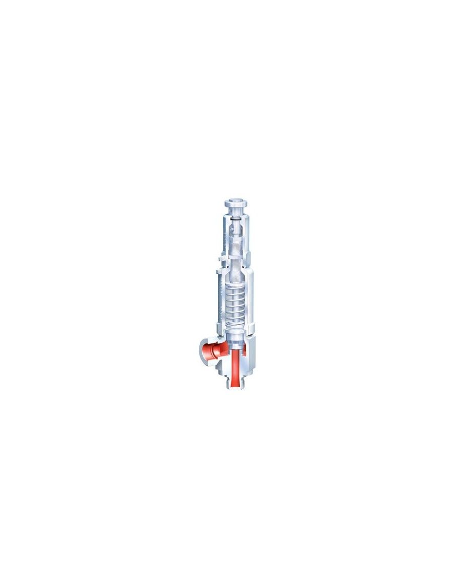 Safety valves - SAFE TCS | ARI