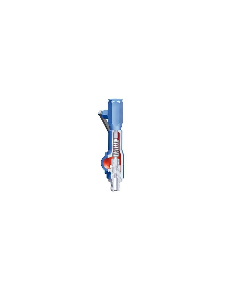 Safety valves API526 - SAFE REYCO RL Series | ARI