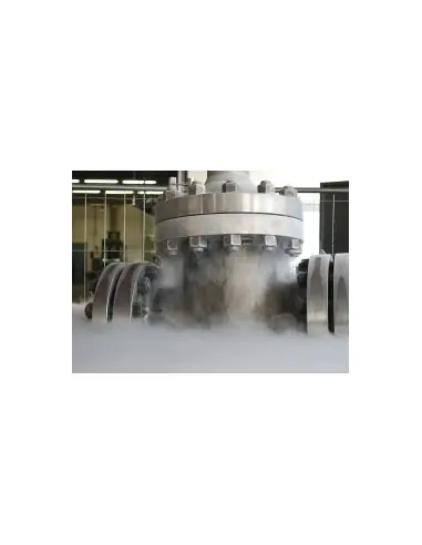 Σφαιρικός κρουνός κρυογενικός Fluitek | Φιλιππόπουλος α.ε.