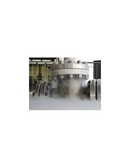 Ball Valves Cryogenic Service | Fluitek | Philippopoulos s.a.