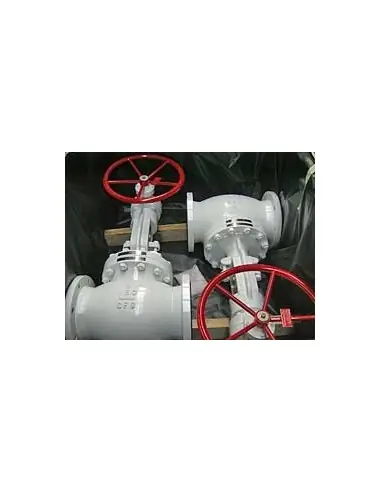 Globe Valves - Globe Bolted Bonnet | Fluitek | Philippopoulos s.a.