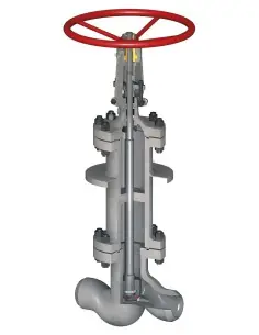 Globe Valves - Extended Bolted Bonnet for Cryogenic Service | Fluitek | Philippopoulos s.a.