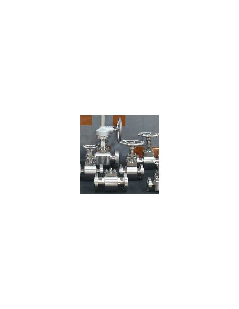 Globe Valves - Compact Design Globe Valve | Fluitek