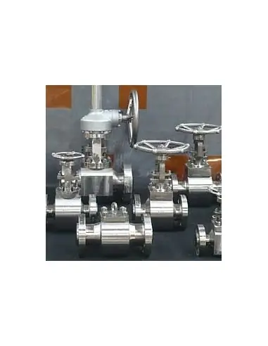 Globe Valves - Compact Design Globe Valve | Fluitek | Philippopoulos s.a.