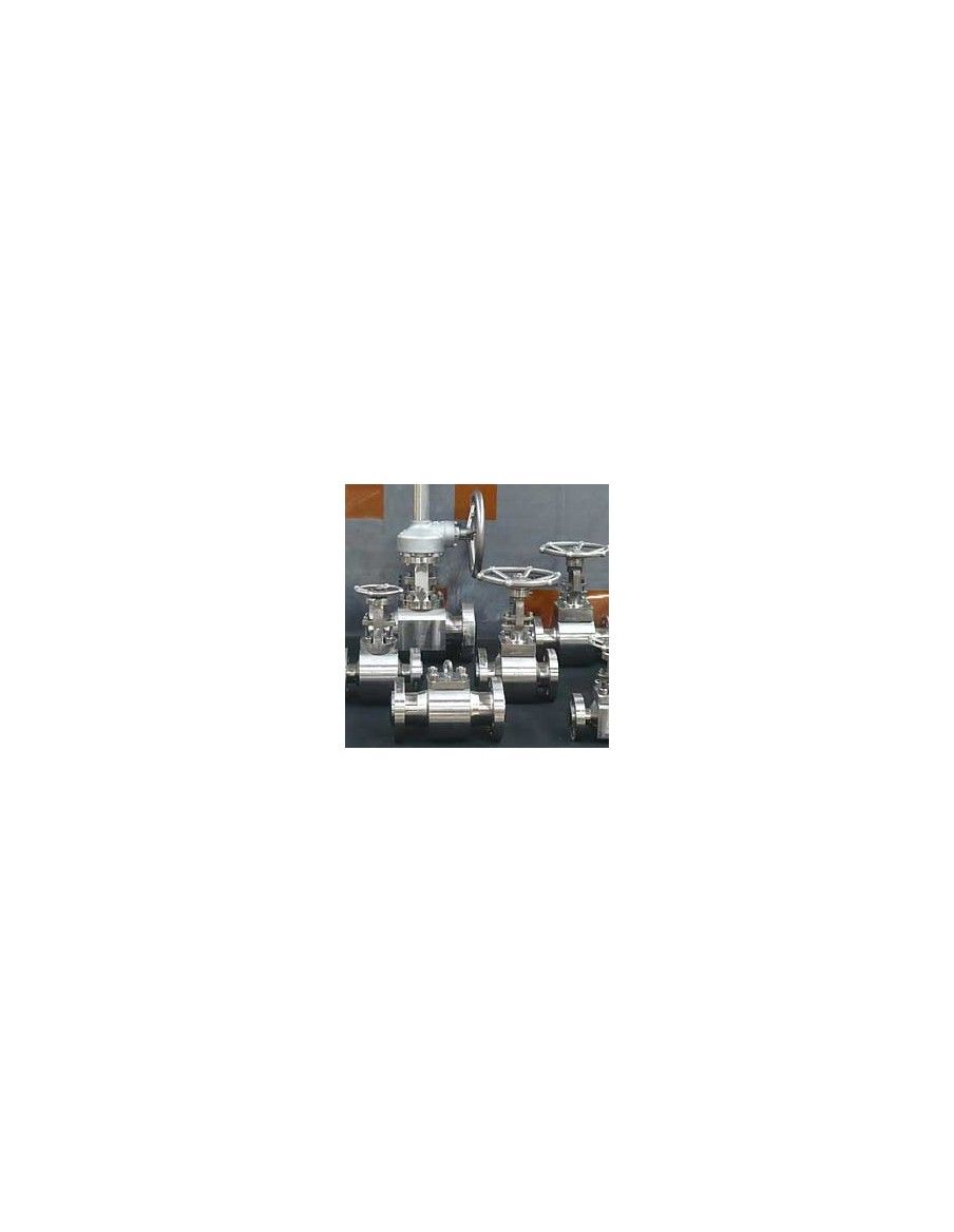 Globe Valves - Compact Design Globe Valve | Fluitek